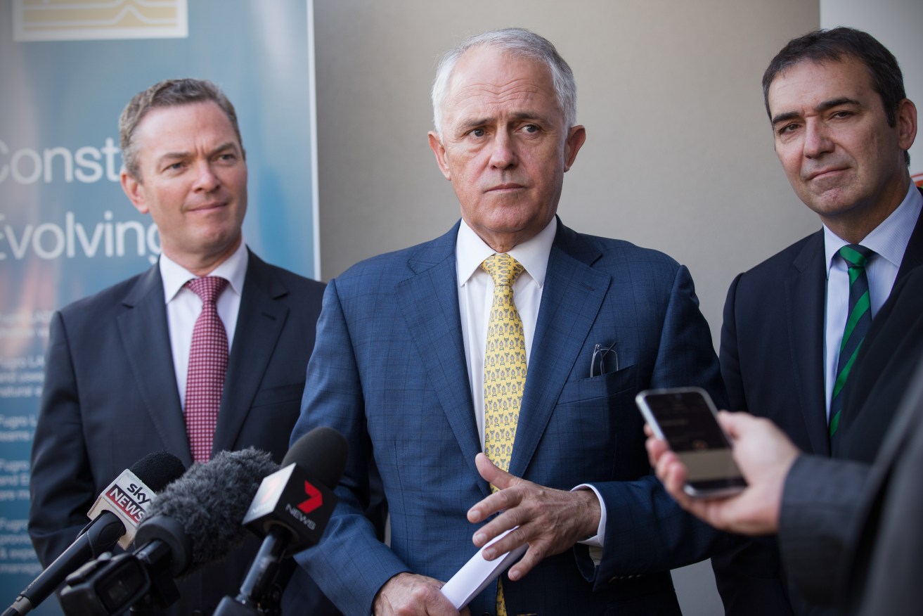 Stephen Blacketer says he doesn’t want his criticisms of Malcolm Turnbull to embarrass Steven Marshall, seen here with moderate powerbroker Christopher Pyne. Photo: Ben Macmahon / AAP