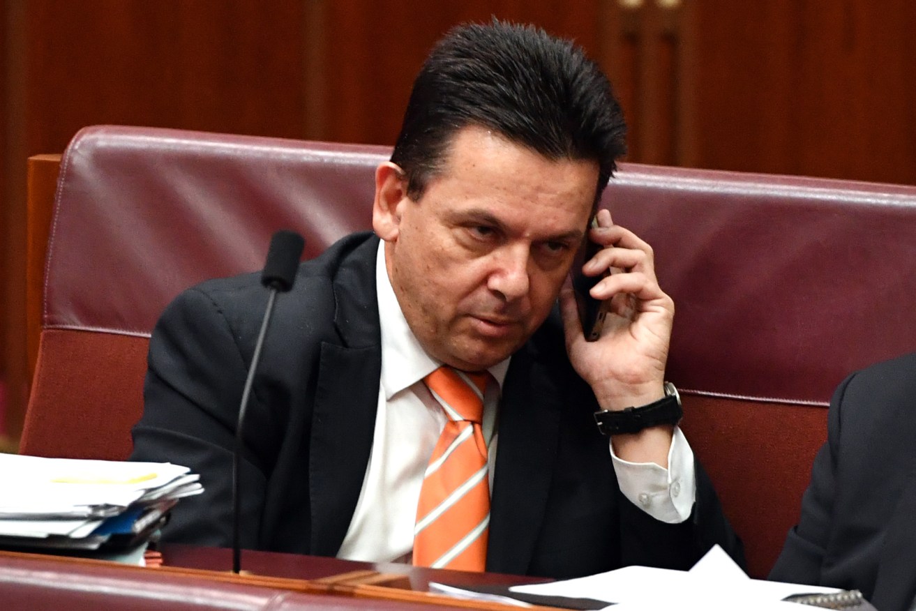 Nick Xenophon in the Senate this week. Photo: Mick Tsikas / AAP