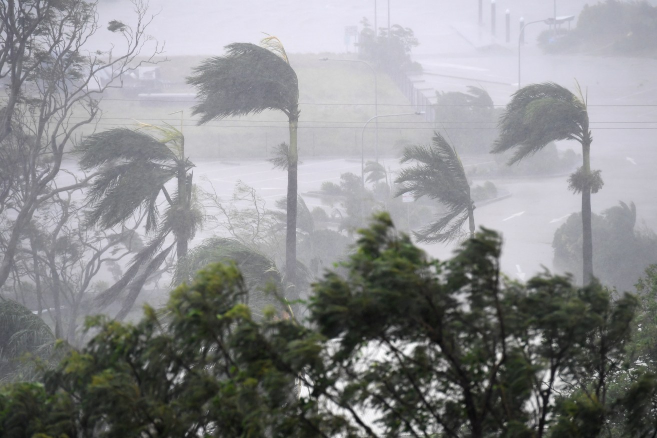 Strong winds and rain lash Airlie Beach today. Photo: AAP/Dan Peled