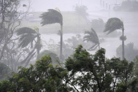 Cyclone Debbie lashes the Queensland coast