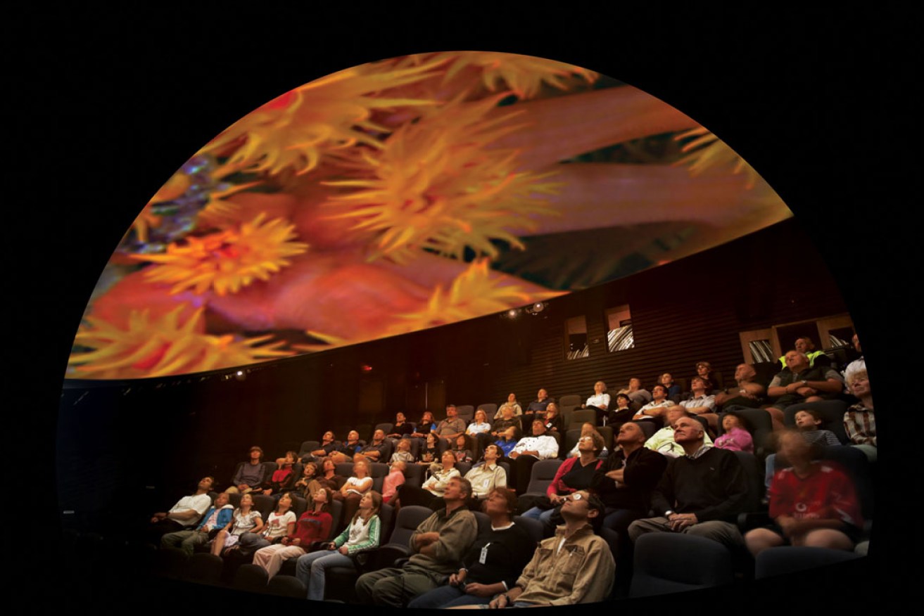 Viewers experience Lynette Wallworth's Coral – Rekindling Venus. 
