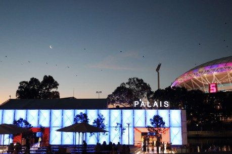 Adelaide Festival opening weekend highlights