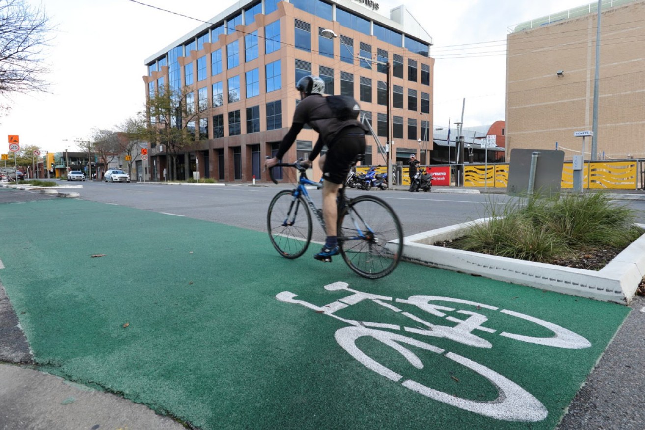 A cyclist travels along Frome Street bikeway. Photo: Tony Lewis/InDaily