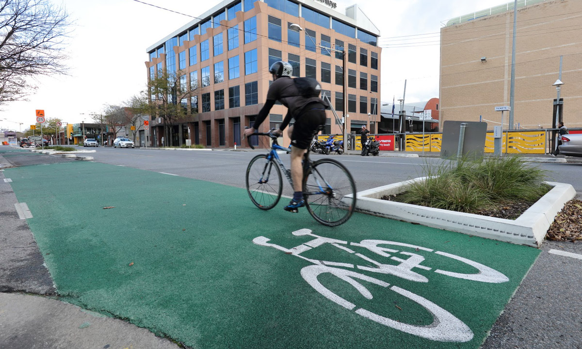A cyclist travels along Frome Street's controversial bikeway. Photo: Tony Lewis/InDaily