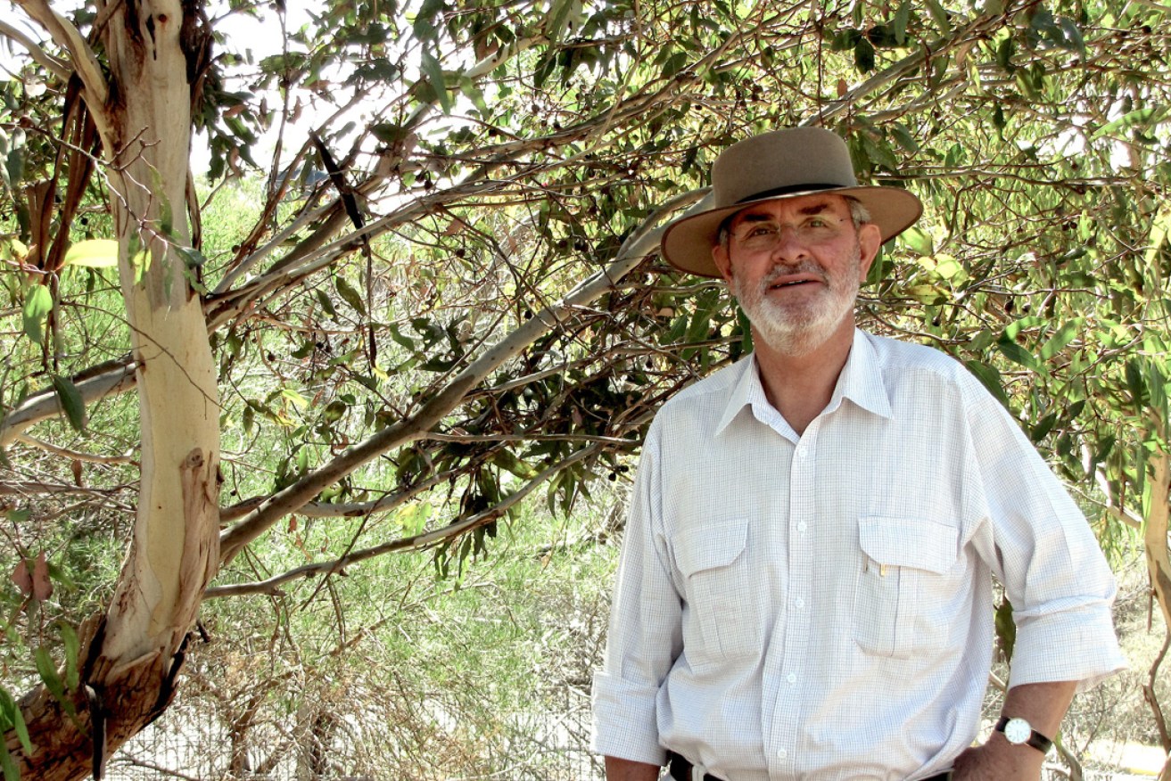 Flinders University Emeritus Professor John Halsey, the former Sidney Myer Chair of Rural Education and Communities and Fellow of the Australian Council for Educational Leaders (SA). 