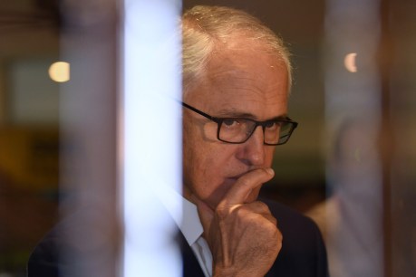 Turnbull govt “at war with the people”: former SA Liberal director