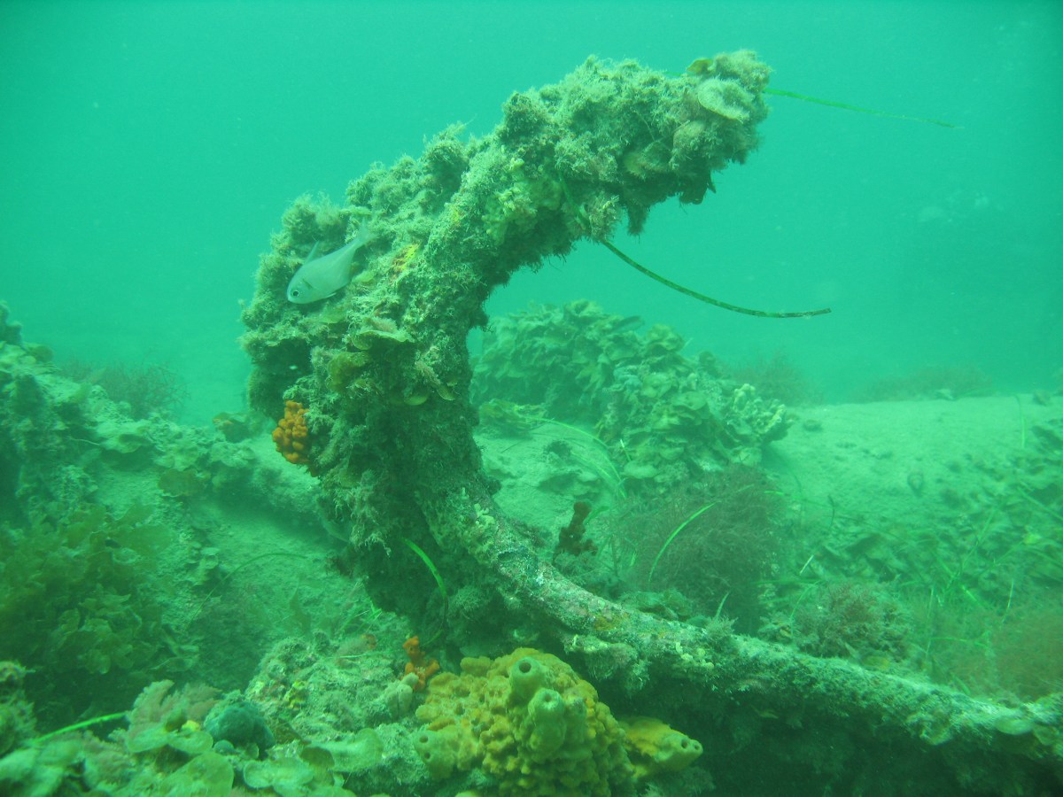 Wreck of the Norma at Outer Harbor. The wreck is now a popular dive site, a plaque marking its location. Image courtesy photographer Karolyn Gauvin 