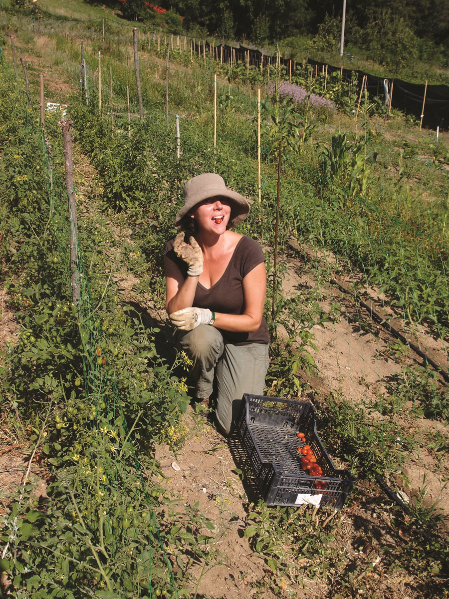 Adelaide writer Pip Williams, working on a farm in Italy 