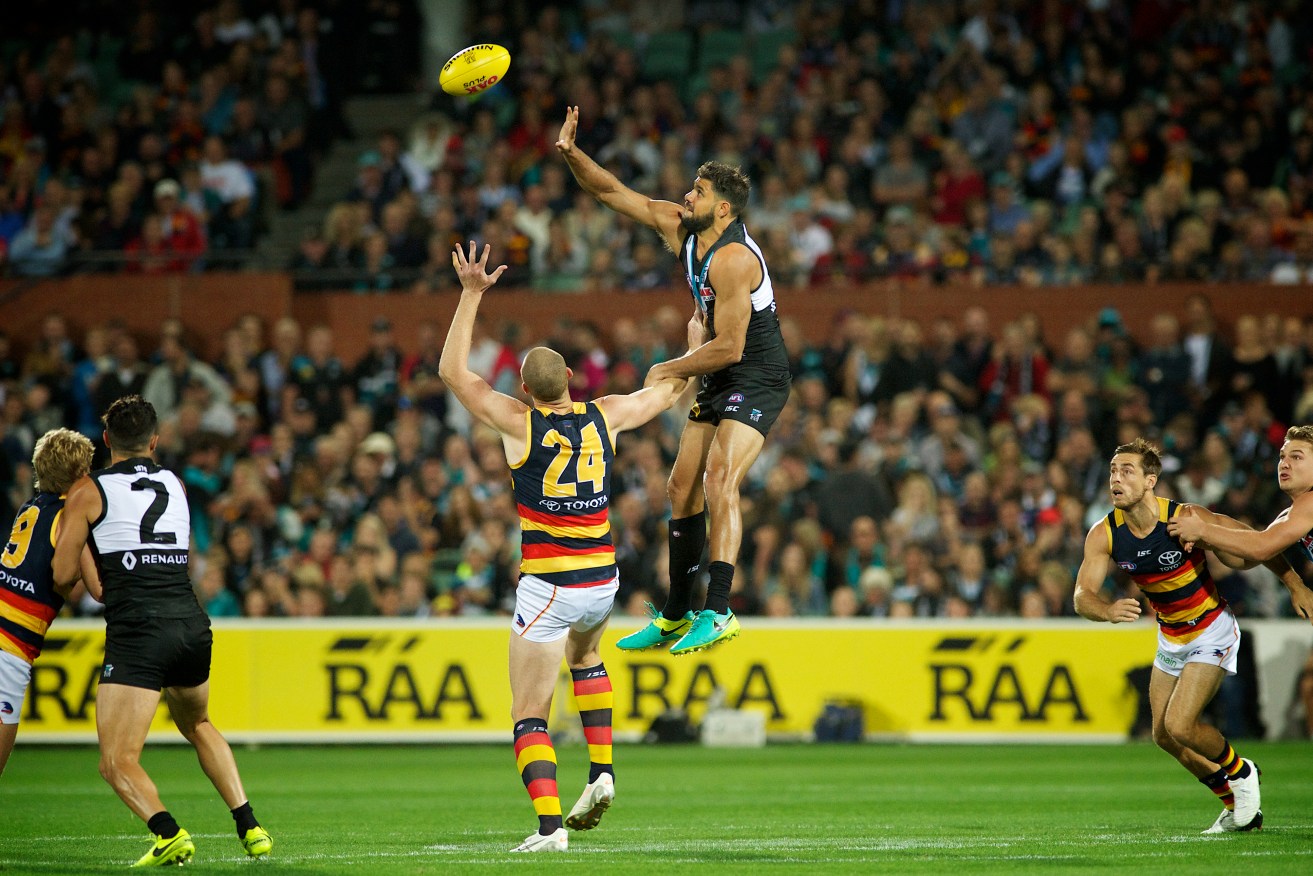 An energetic - and ultimately overenthusiastic - Paddy Ryder got the better of Sam Jacobs (just) but Rory Sloane and Richard Douglas managed plenty of clearances. Photo: Michael Errey / InDaily