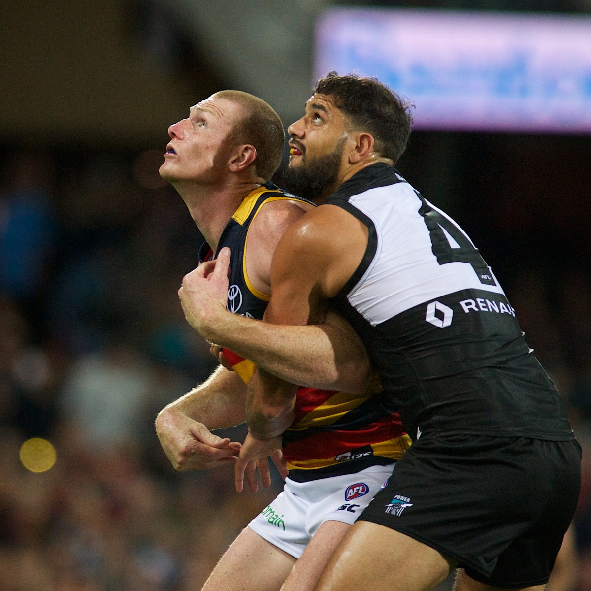 AFL 2017 Season, AFL, Adelaide Oval, Michael Errey, Adelaide Sports Photography, Adelaide Sports Photographer, Port Adelaide, Showdown, Adelaide Crows