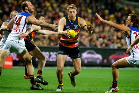 Talia and Jenkins likely for Crows, Port lose skipper