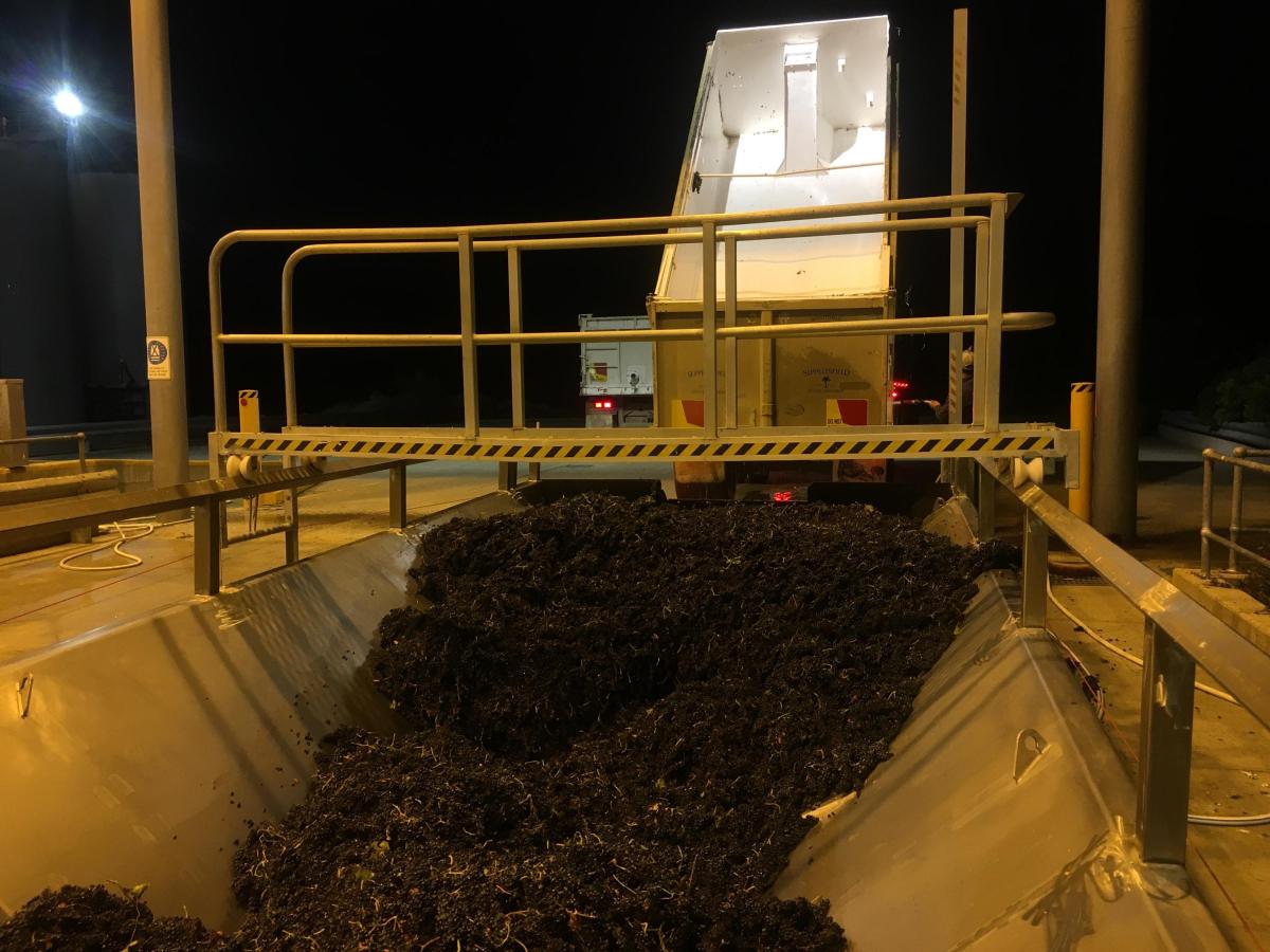 Five days after buying Ryecroft, Randall had grapes in the winery's recieval bin.