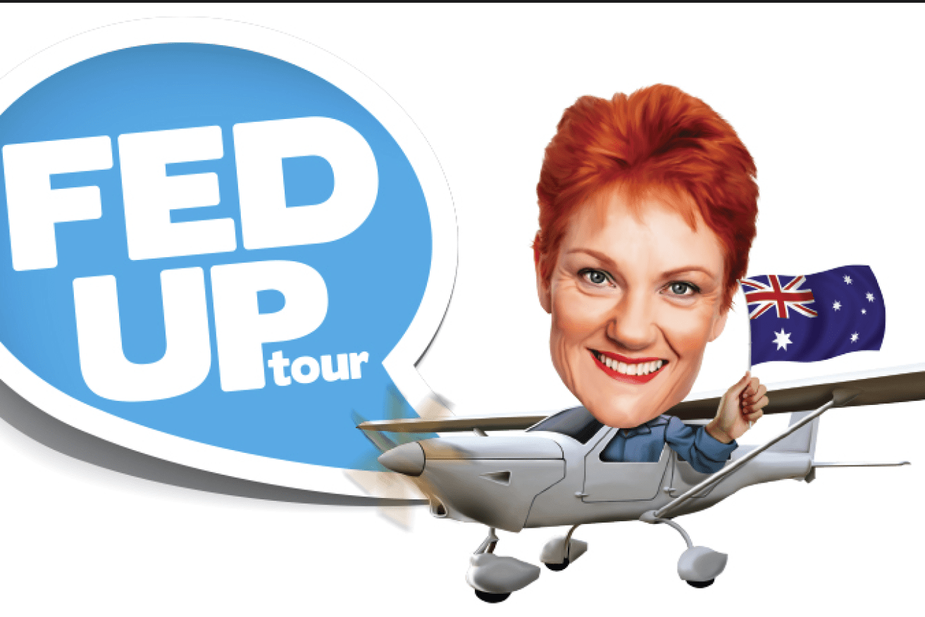Pauline Hanson's plane, flown by adviser James Ashby, has been a prominent feature in One Nation campaign material.