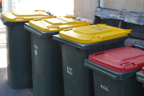 Council rejects politically “foolish” business waste collection fee