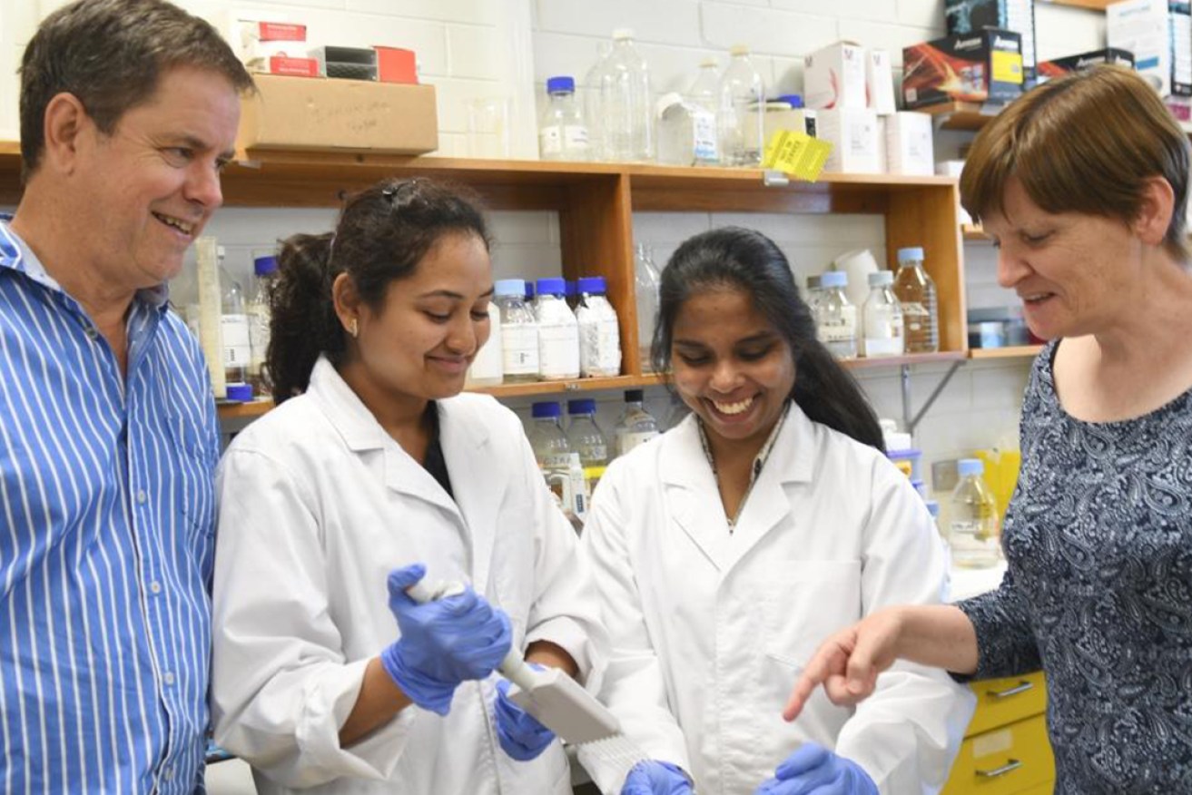MND researchers Dr Tim Chataway, Vyoma Modi, Michell Cardoso and Dr Mary-Louise Rogers, right, in the MND and Neurotrophic Research Laboratory at the Flinders University School of Medicine, Adelaide. 