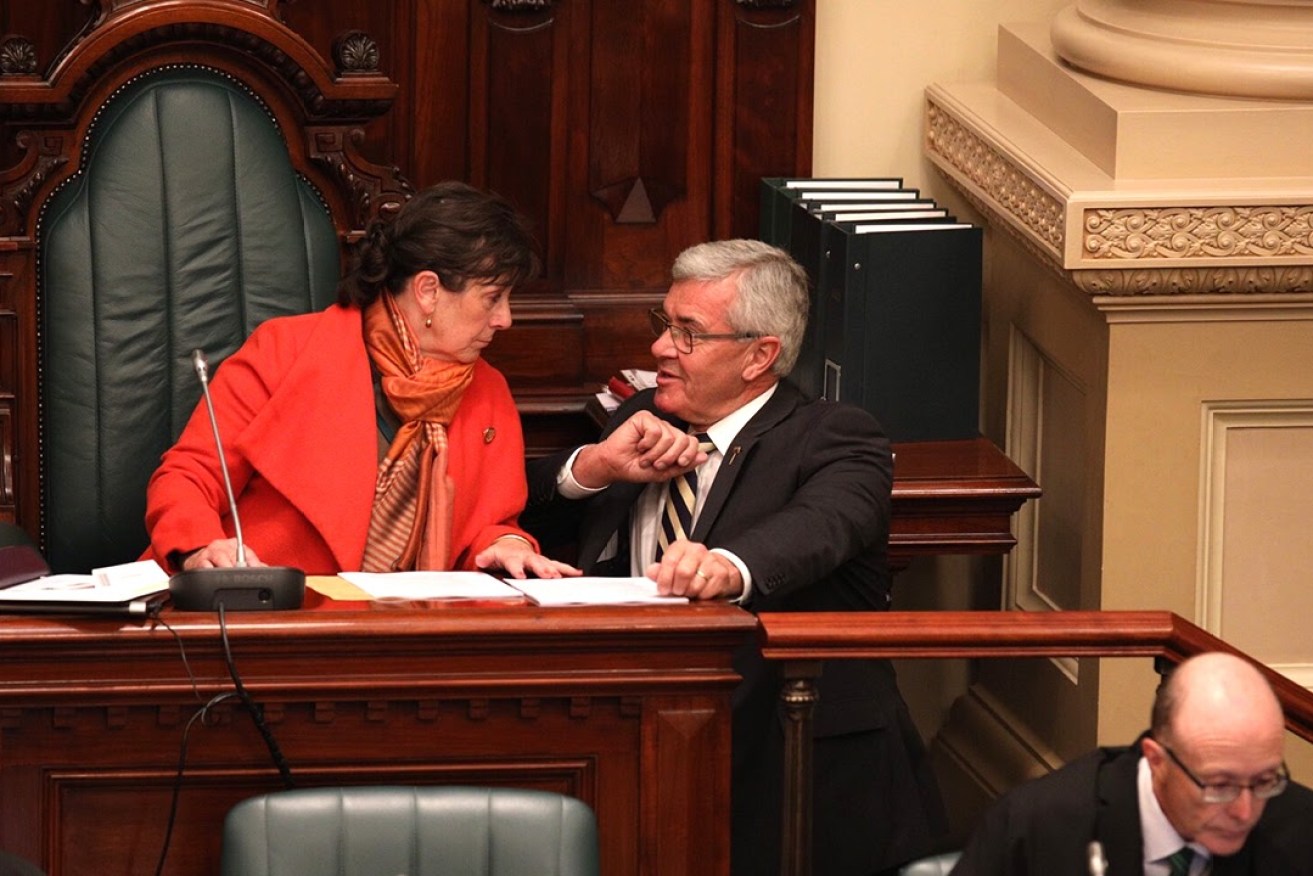 CROSSBENCHERS: Duncan McFetridge talks in parliament with fellow independent Frances Bedford. Photo: Tony Lewis / InDaily
