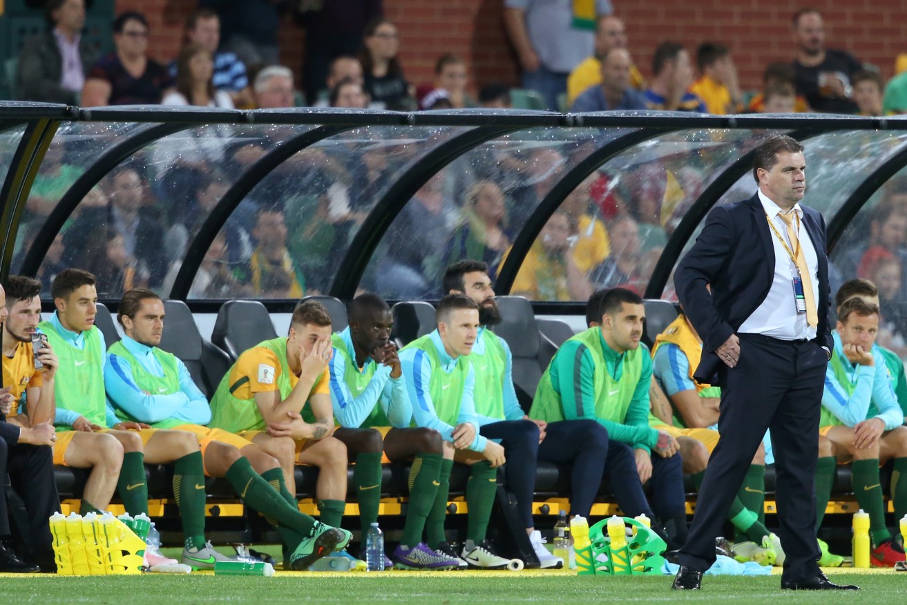 Ange Postecoglou and the Socceroos will return to Adelaide Oval next week. Photo: Ben Macmahon / AAP