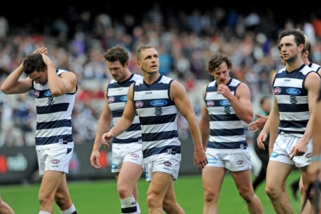 Cats aim to tackle “disgraceful” form slump