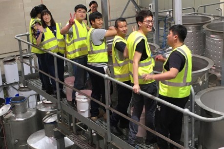Chinese winemaking students flock to Adelaide