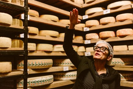 They just wanted to eat – and sell – good cheese