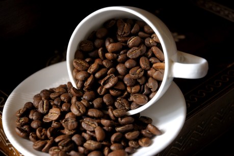 How to find coffee that doesn’t cost the Earth