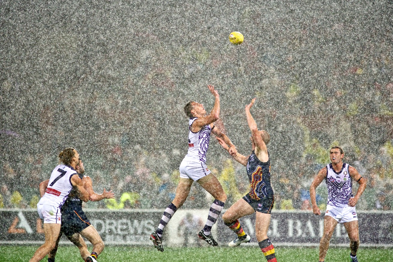 It was raining goals at Adelaide Oval. And also water. Photo: Michael Errey / InDaily