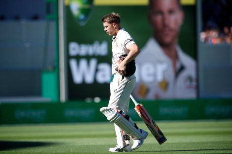 “They might not have a team for the Ashes”: Warner