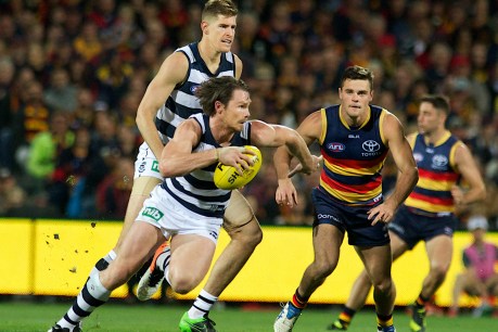 Free agents for life in “logical” AFL revamp