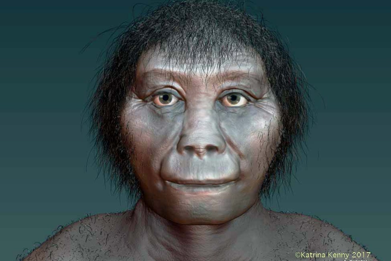 SA artist Katrina Kenny's impression of the Indonesian fossil remains of Homo floresiensis, a species of tiny human discovered on the Indonesian island of Flores in 2003.