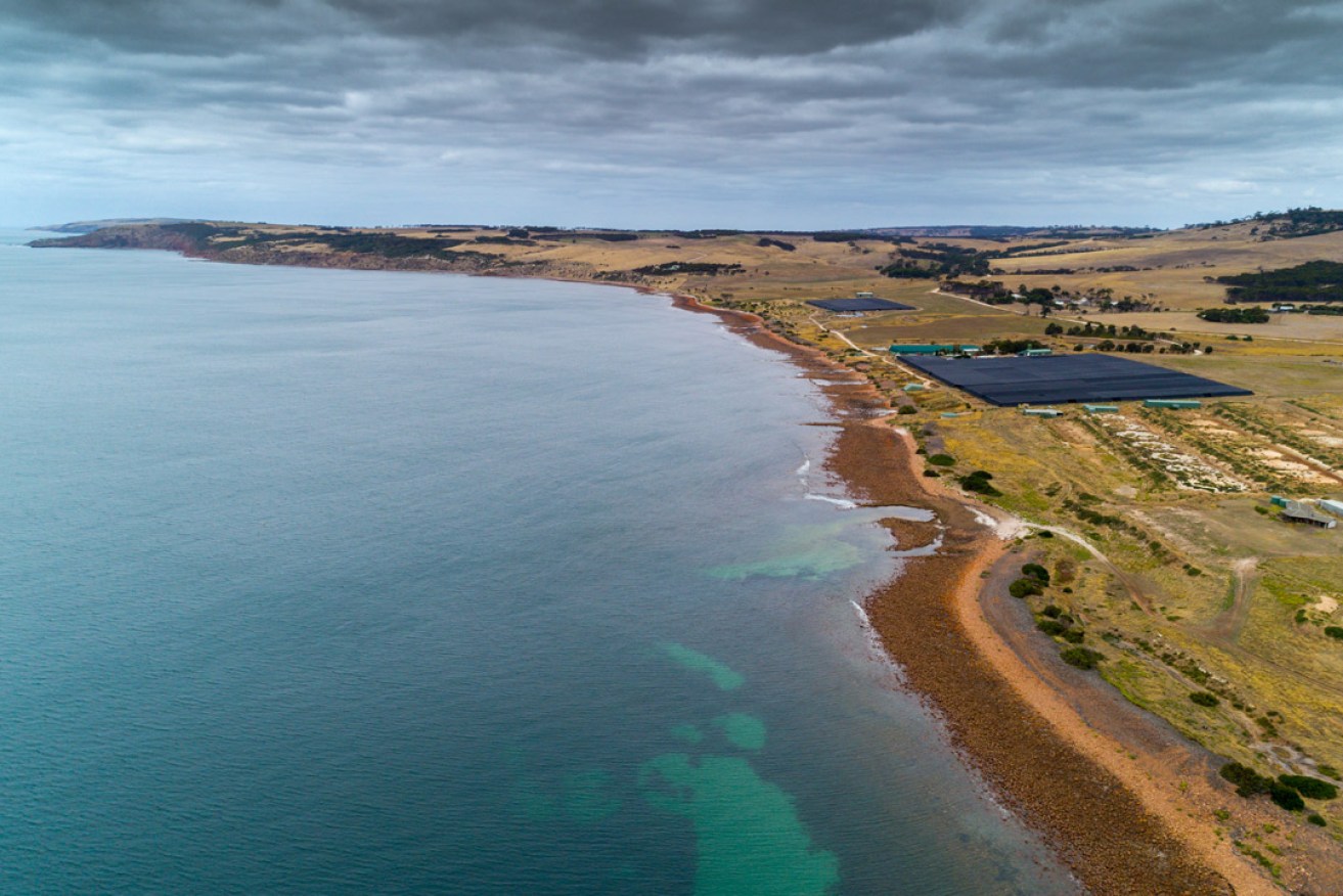 Yumbah Aquaculture's abalone farm (right), at Smith Bay on Kangaroo Island's northern coast, extracts and returns seawater to its tanks from pipes about 200 metres offshore. Kangaroo Island Plantations has proposed a deep-sea port nearby.