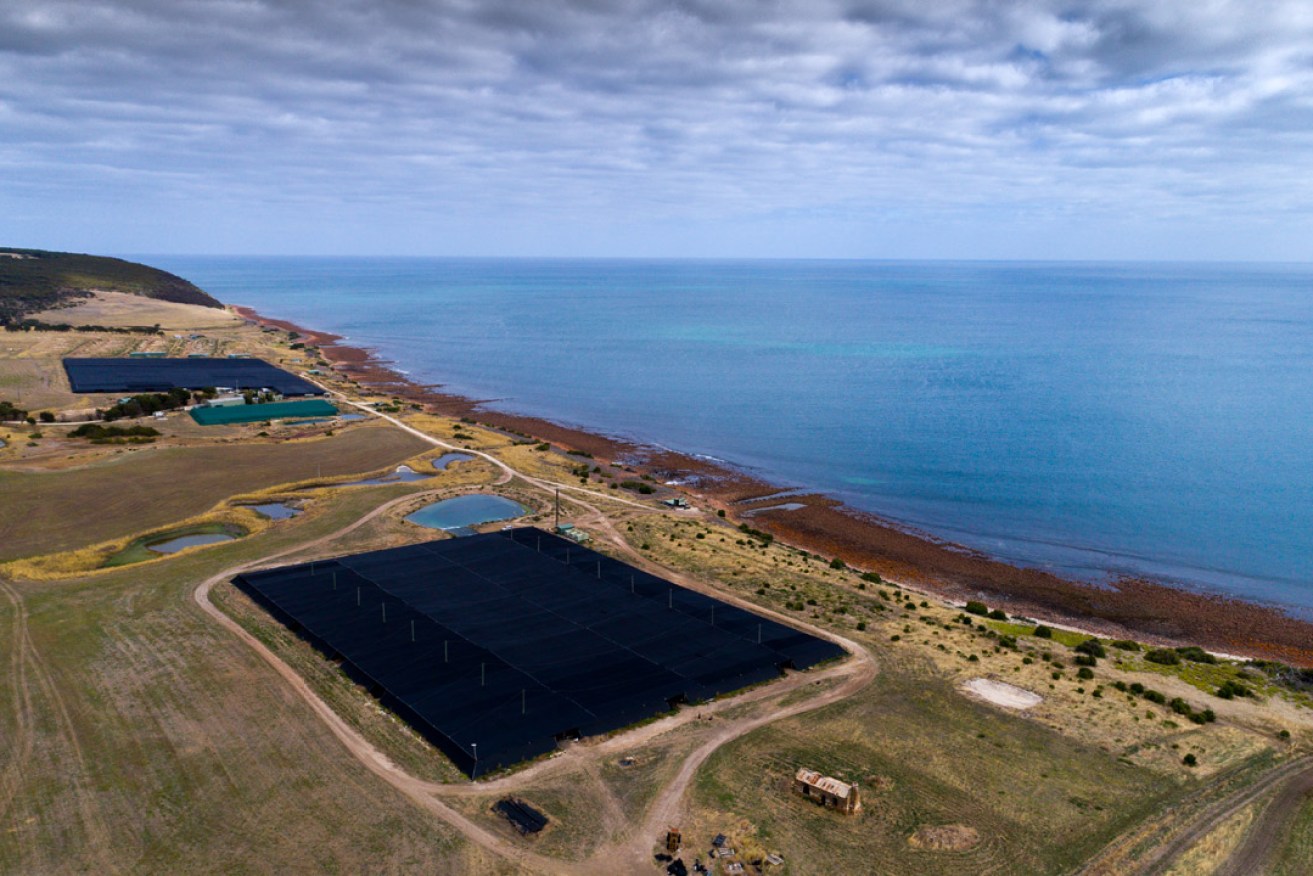 The Yumbah Aquaculture abalone farm in Smith Bay on Kangaroo Island. Photo: supplied.