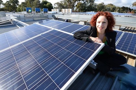 Podcast: A business approach to carbon neutrality in Adelaide