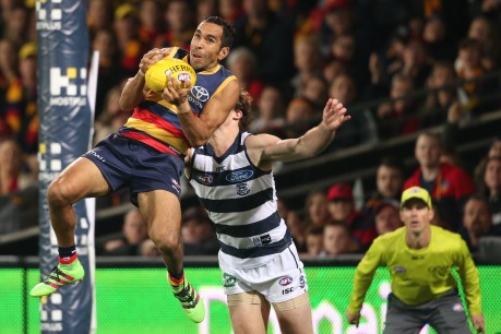 Cats need Plan B for Betts