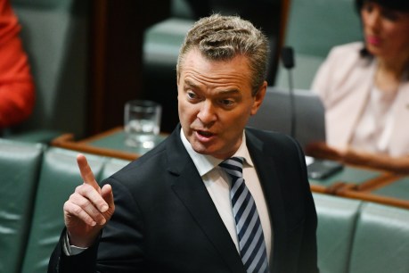 Pyne’s self-indulgence damages Turnbull
