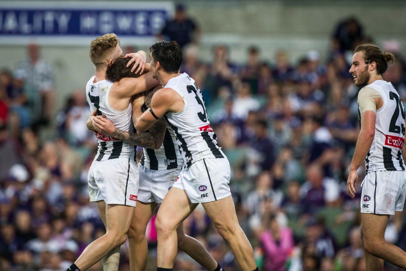 The victory over Fremantle was one of the Magpies' most impressive in recent years. Photo: Tony McDonough / AAP