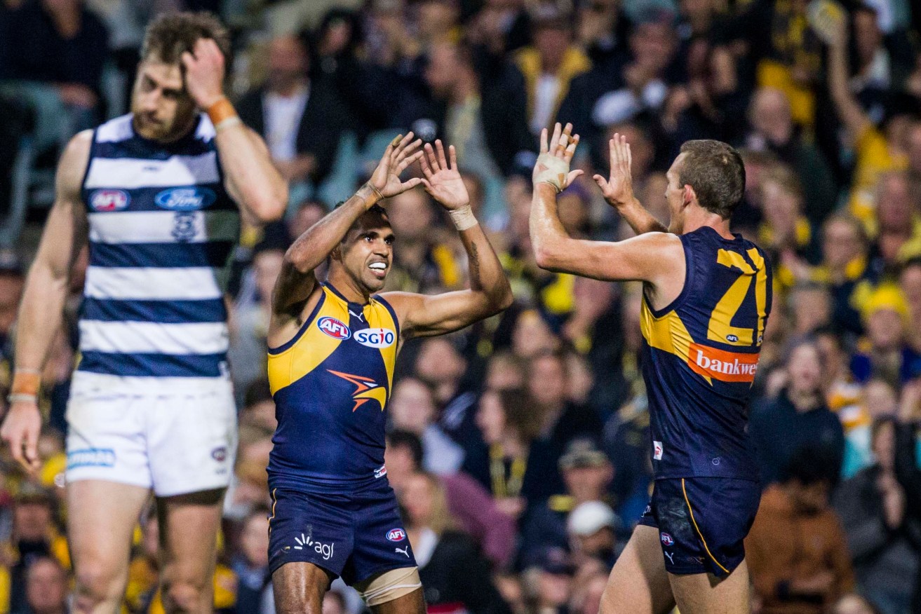 The Eagles put the Cats to the sword early, but fell away in the second half. Photo: Tony McDonough / AAP
