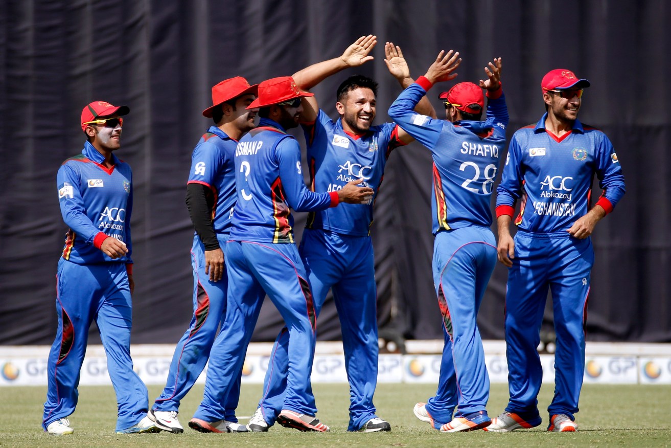 Afghanistan players celebrate the dismissal of Ireland's Ed Joyce during their a one day international in Greater Noida, India. Photo: Altaf Qadri / AP