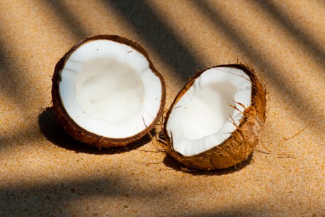 The truth about so-called ‘superfood’ coconut oil