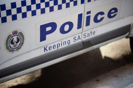 Teens arrested over alleged carjacking