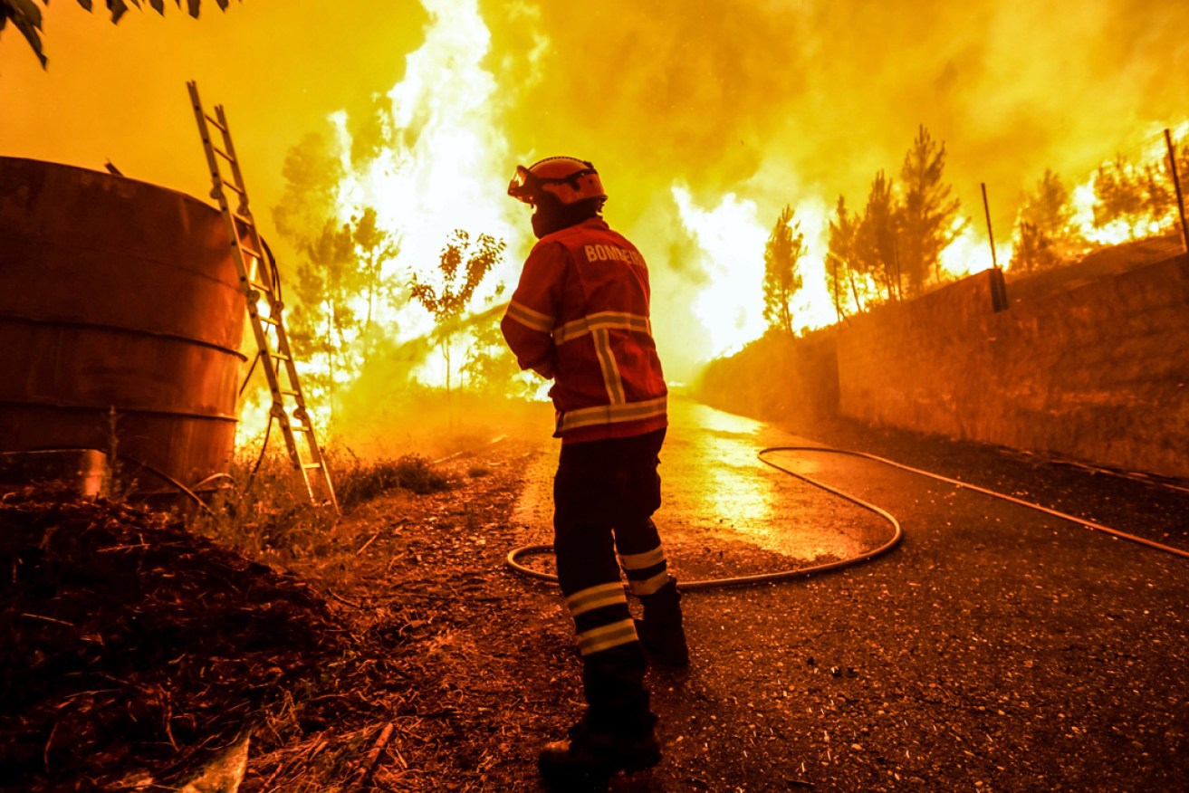 A Firefighter battles with a fire in Pampilhosa da Serra, central of Portugal. Photo: EPA