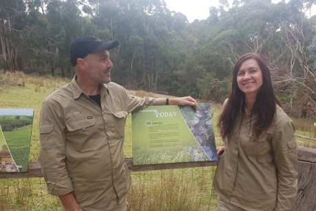 Long-closed Warrawong to be restored as a wildlife sanctuary