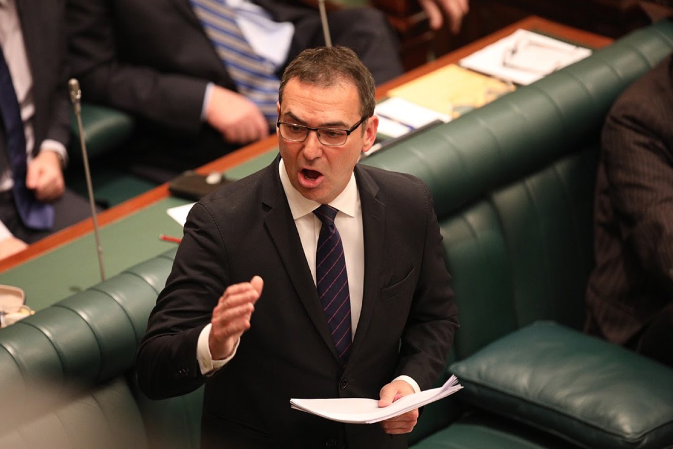 Steven Marshall delivers his budget reply today. Photo: Tony Lewis / InDaily