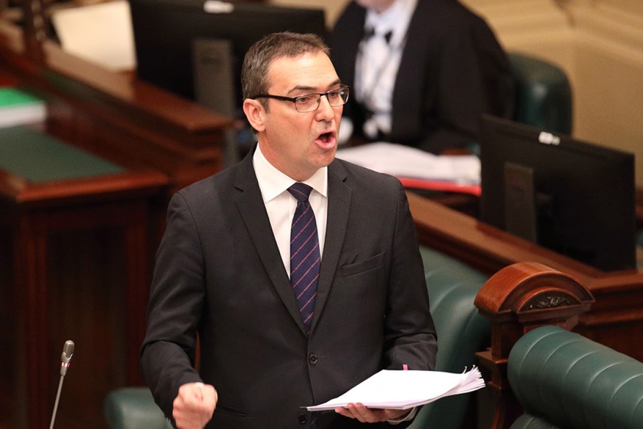 Liberal leader Steven Marshall called for a conscience vote on the ICAC bill. Photo: Tony Lewis / InDaily