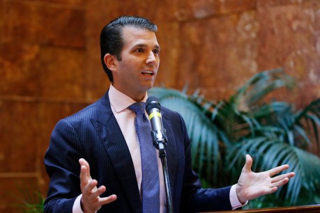 Trump Jr lawyers up after admitting to Russia meeting