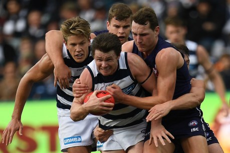 Cheeky Crows lay claim to new Danger