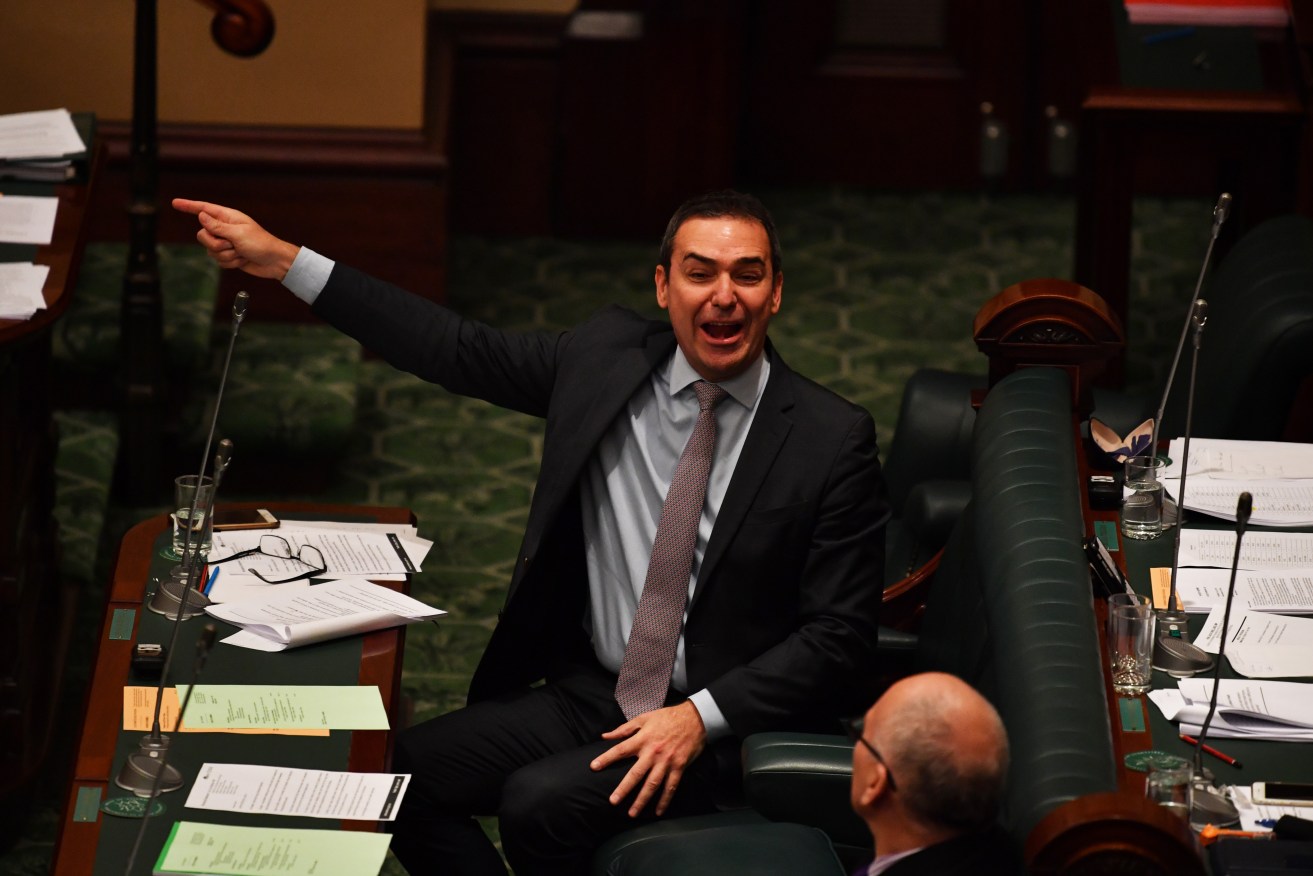 An animated Steven Marshall in Question Time this week. Photo: Morgan Sette / AAP