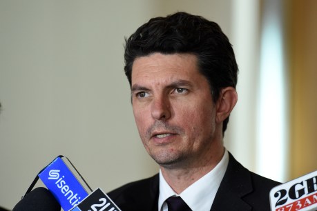 Greens senator quits parliament over citizenship bungle
