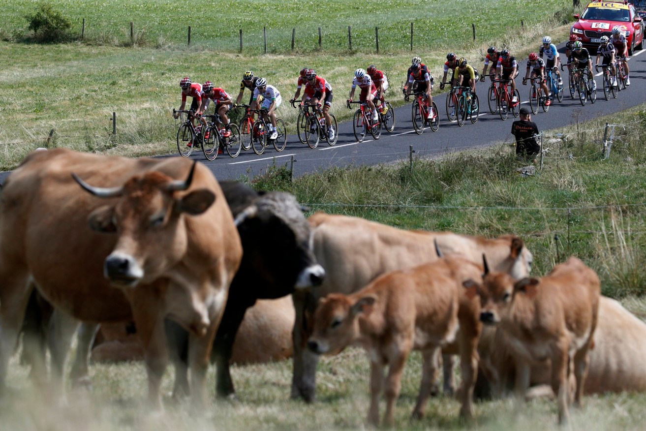 Riders in action during the 15th stage of the Tour de France, cycling between Laissac-Severac L'eglise and Le Puy-en-Velay. Photo: YOAN VALAT / EPA