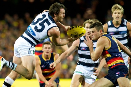 Dangerfield only “40 per cent chance” of taking on Crows