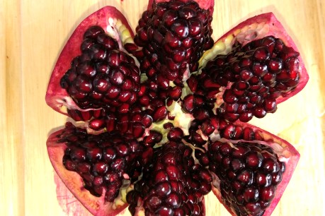 Turning pomegranates into sorbet – and wine